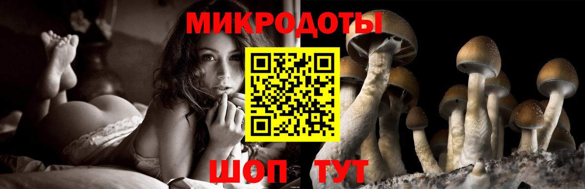 Псилоцибиновые грибы Psilocybine cubensis  Галлюциногенные грибы Psilocybine cubensis  Брянск  Вход с VPN 